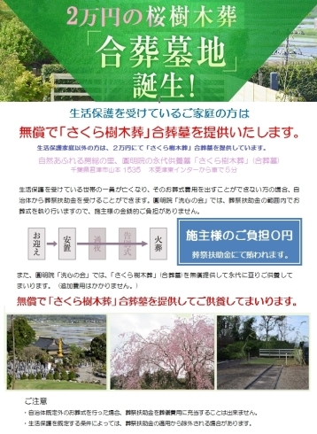 「2万円の桜樹木葬「合葬墓地」誕生!!　」