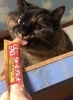 怒りんぼは若さの秘訣？シャーでも可愛い むうちゃん「寒くっても…シニアさんでも…」