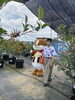 ブルーベリー狩り　楽しんだワン「わん丸君参上！【犬山市観光農園　ブルーベリーポケット】」