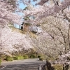 徳島県立神山森林公園イルローザの森