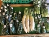 行方市産の新鮮お野菜「コテラス直売所より新鮮お野菜入荷のお知らせ♪」