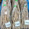 「農産物直売所では『山ごぼう』が入荷します！」