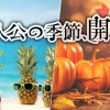 ～主人公の季節、開幕～【まいぷれ京都西京区・南区】