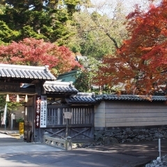 四国霊場第81番札所『白峯寺』で紅葉と素晴らしい景色を堪能