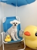 リクくん「サマービーチ🏖️&予約状況」