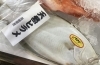 「魚魚市場鮮魚コーナーおすすめは「長崎県産シビマグロ」です♪」