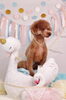 「Anniversary photo　(^O^)／」