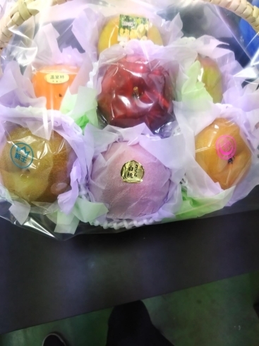 6500円以上8000円未満「【2022年】『旭川で果物を買うならやおもり果実専門店で』」