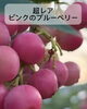 「【ブルーベリー狩り】今だけの「うっまーーー！」」
