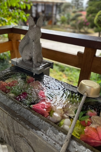 たくさんのキツネさんが神様を守っています。「天明稲荷神社」