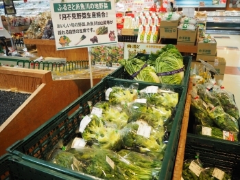 糸魚川産の野菜は人気商品の為、お早めにお買い求めください！「マルニ・ハピー 横町店」