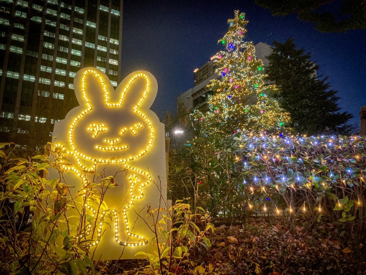 船橋 津田沼でイルミネーションやクリスマスツリーが楽しめるスポット 21年 船橋の暮らしを楽しくするお店まとめ まいぷれ 船橋市 船橋 津田沼でイルミネーションやクリスマスツリーが楽しめるスポット 21年 船橋の暮らしを楽しくするお店まとめ まいぷれ 船橋市