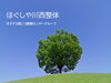 「ほぐしや 川西整体」熟練した「手技」で、体がほぐされていく感覚を♪