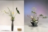 花・いけ花・教室 文人調いけばな（蓮・実木瓜・中菊） 【いけばなをカジュアルに