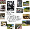 「６月の予定を掲載中。ベビーマッサージは「いきいきベビーマッサージ」に改称し無料・要予約になりました。詳しくは本文にて。」