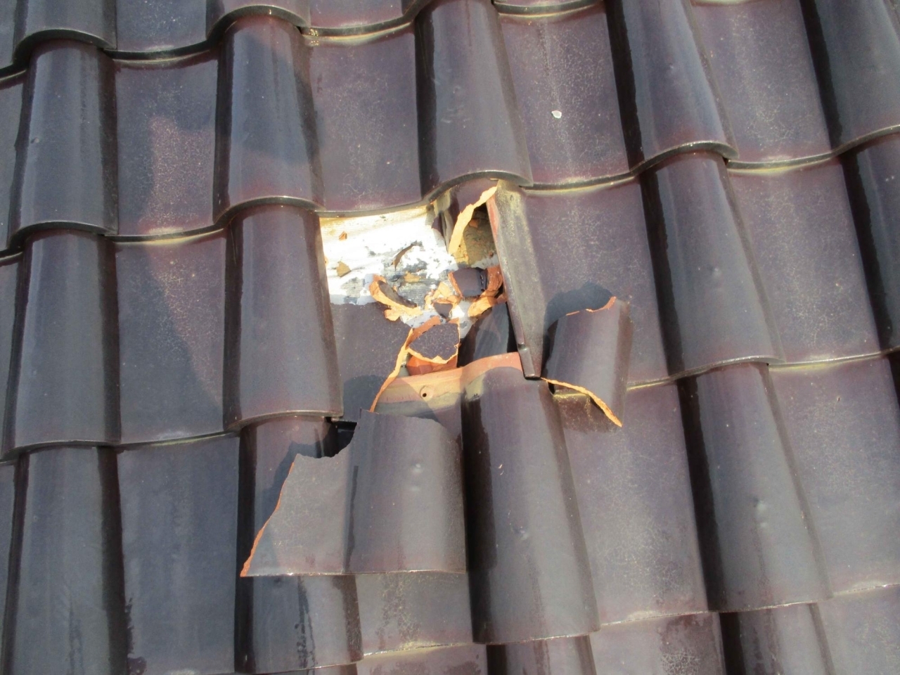 船橋市でも隕石を発見 習志野隕石 の2つ目をが船橋市に 国立科学博物館分析 船橋トピックス 身近にあるニュースを日々お届け まいぷれ 船橋市 船橋市でも隕石を発見 習志野隕石 の2つ目をが船橋市に 国立科学博物館分析 船橋トピックス 身近にあるニュースを日々お届け まいぷれ 船橋市