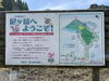 尼ケ岳「新緑の尼ケ岳」