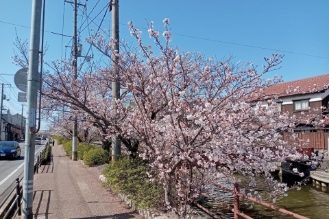 鳥取県米子市　旧加茂川沿い