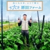 原田ファーム 新鮮京野菜
