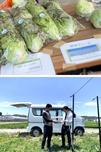 地域に根ざした農業経営を日々試行錯誤しています「原田ファーム 新鮮京野菜」