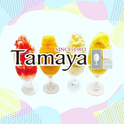 「Tamaya 松山店」淡雪のようなくちどけ！　長年愛されるジェラートのようなかき氷　