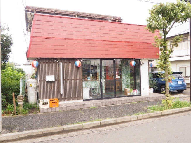「居酒屋 かりゆし」武蔵野台にこの店あり！　本格沖縄料理が駅近で楽しめる
