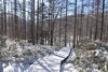 「入笠湿原約10㎝の新雪が降りました（雪山登山）」