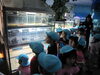 「かすみがうら市水族館でたくさんの生き物を発見！」