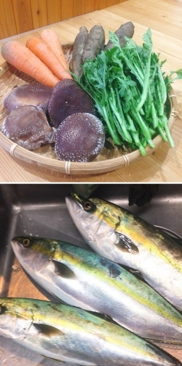 自然栽培の農園さんからの新鮮野菜や旬の魚を美味しく料理！「厨～くりや～Kuriya」