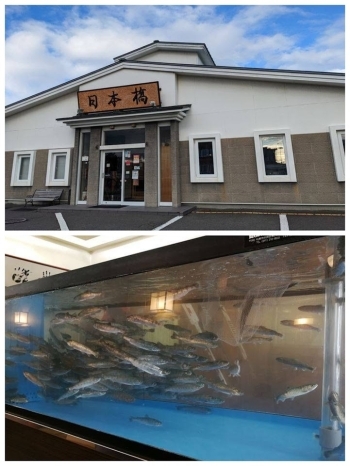 上：品格漂う店構え
下：たくさんのやまべが泳ぐ生け簀は見どころ「寿司 やまべ料理 日本橋」