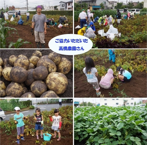 「江戸川区の【ふれあい農園収穫体験】に行ってきました！」