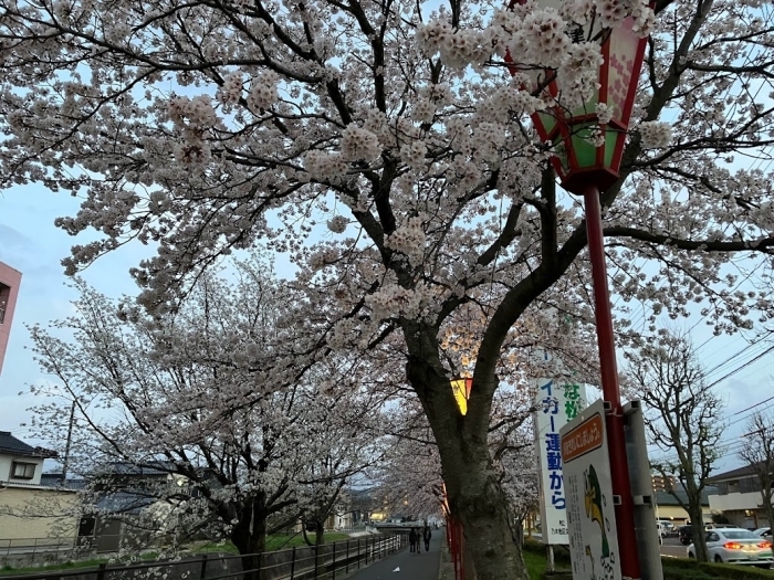 山居川沿い  松江市乃木