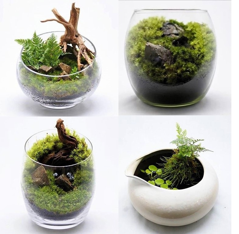 苔のインテリア コケリウム 編集部の気になるお店 まいぷれ 大阪市中央区 苔のインテリア コケリウム 編集部の気になるお店 まいぷれ 大阪市中央区