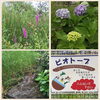 「ビオトープ って知ってますか？」