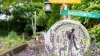 「おたるないバックパッカーズホステル杜の樹」旅先にある自宅のような地元の暮らしの体験ができるゲストハウス