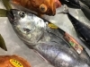 「魚魚市場鮮魚コーナーおすすめは「ワタリガニ」です♪」