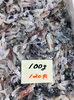 「魚魚市場鮮魚コーナーおすすめは「甘鯛」「ツムブリ」です♪」
