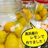 「レモン酵素🍋」