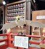 熊野神社の幸せを呼ぶ白ふくろう「🎈 熊野神社のポニーに会いに 🎈　★英会話と体操のコラボ教室（堀切、お花茶屋、綾瀬、亀有、小菅）」