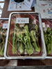 春の味覚、限定販売山菜３００円「春の味覚・タラの芽の天ぷらはじめました」