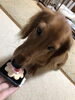 「HAPPY　BIRTH　DAY」