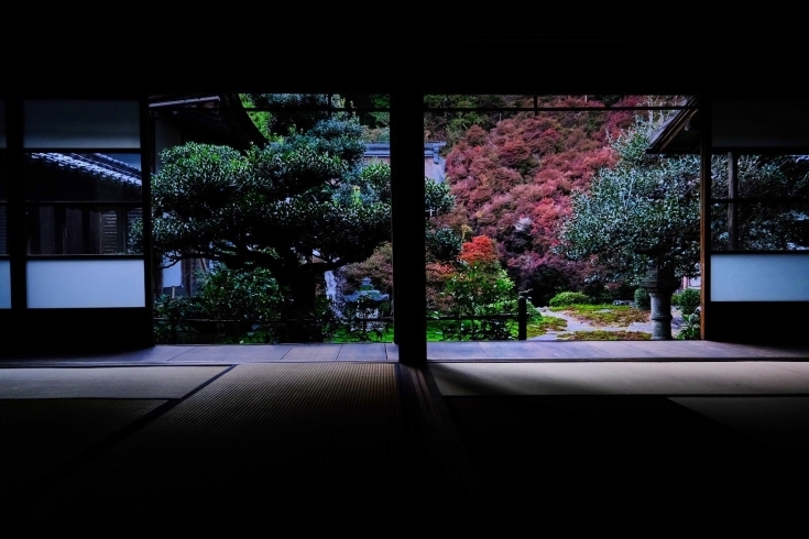 「由緒ある山県市のお寺で本格抹茶ラテづくり体験」