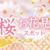 新潟市江南区の花見情報