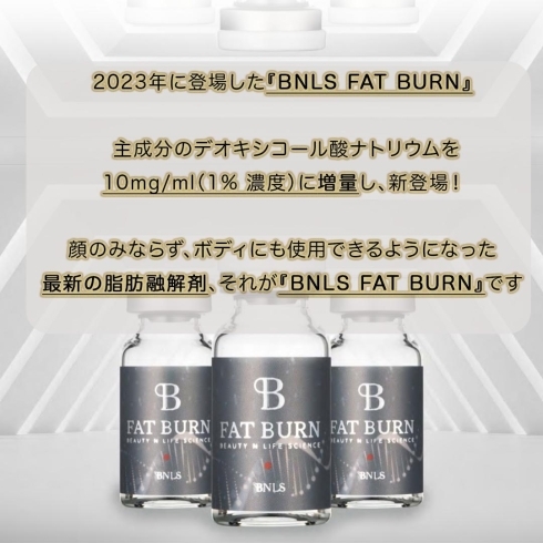 BNLS説明「ついに登場❗️ 最新の脂肪溶解注射🔥『BNLS FATBURN 』🔥　長崎　佐世保　佐々　松浦　平戸」