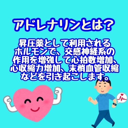 アドレナリンとは？「アドレナリンとは？」