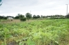 営業時間は太陽が出ているとき。雨の日はお休みです「K's Garden Lab.」