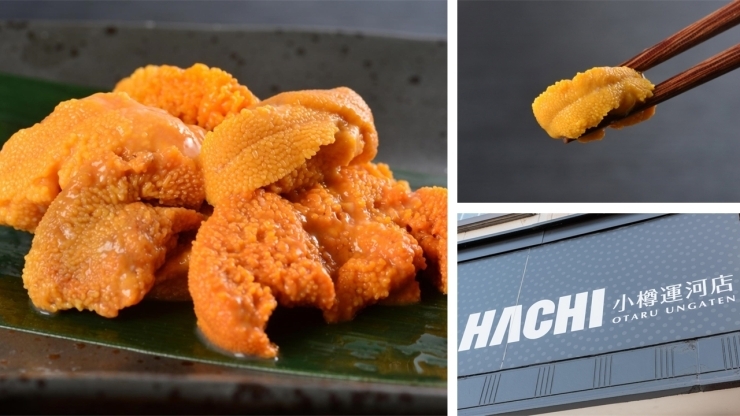 「うにLABO HACHI」一年中美味しいウニが食べられる生うに加工会社アンテナショップ