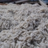 釜あげしらす