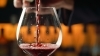 趣向を凝らした本格イタリアンとマリアージュをお楽しみください「Restaurant Wine Bar Dimolto 」