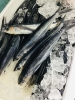 「魚魚市場鮮魚コーナーおすすめは「スマ(ヤイトカツオ)・オジサン・オオアジ」です♪」